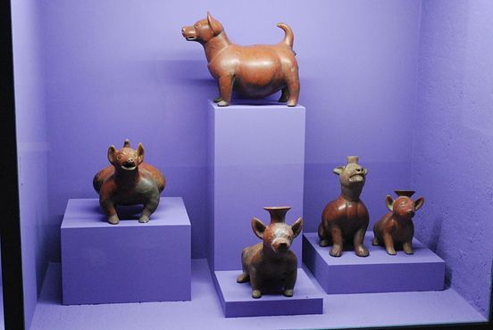 Доиспанские контейнеры в форме собак породы ксолоитцкуинтли из западной Мексики