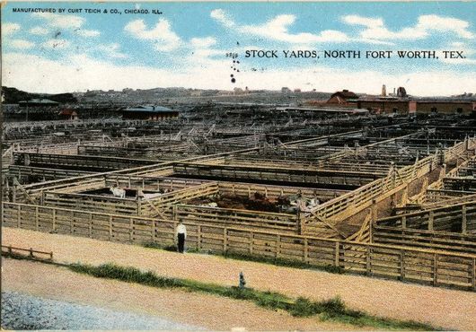 Скотный двор на открытке 1900–1908 годов