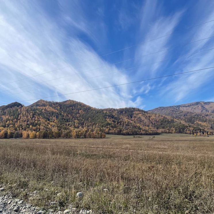 Гостевые домики