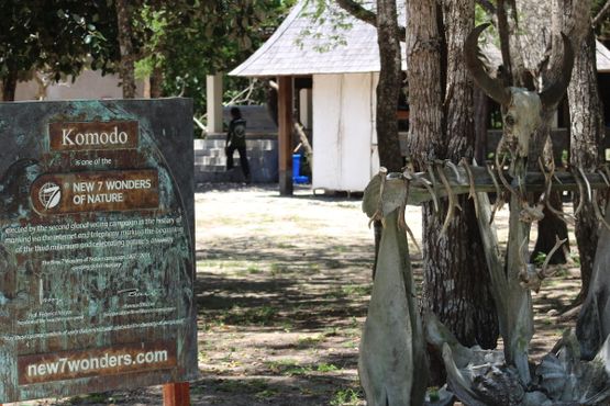 Национальный парк Комодо, один из семи Новых чудес природы