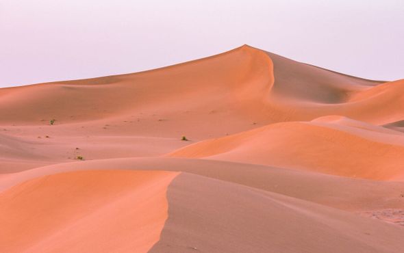 Необычные цвета пустыни