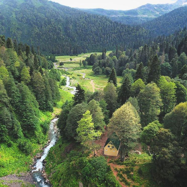 Гостевые домики