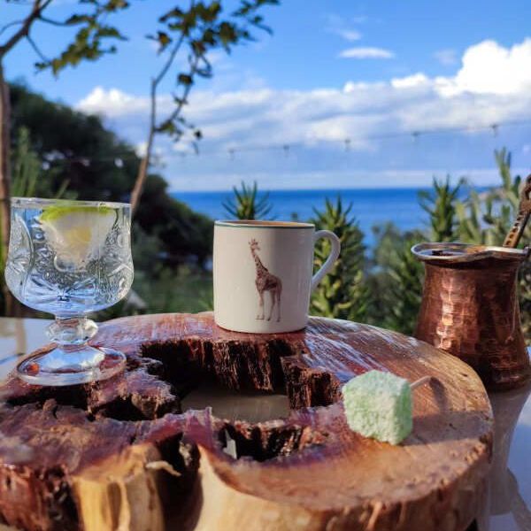 Гостевые домики, Бутик-отели, Апартаменты