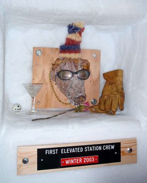 Рыло свиньи было установлено в одной из «святынь» в память о первой зиме на станции