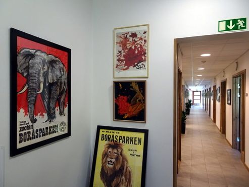 Картины Пьера Брассо находятся в одном из зданий зоопарка Буроса