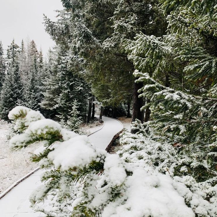 Гостевые домики