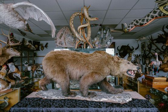 Кабинет редкостей Крэнфилда