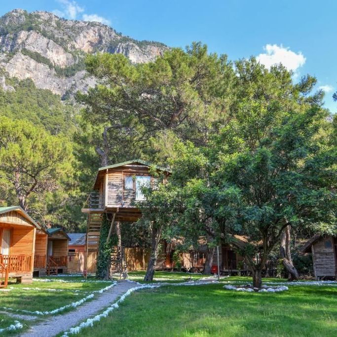 Бутик-отели, Бунгало, Глэмпинги