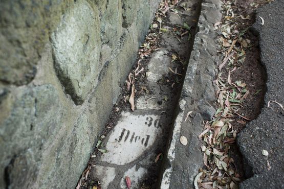 Надгробные плиты видны вдоль дорожки