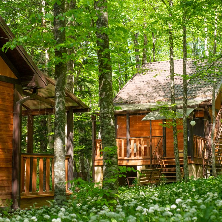 Коттедж, Tourist base