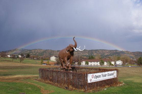 Раскоп мамонтов