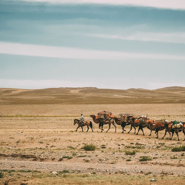 Кемпинги, Отели 3*, Юрты, Палатки