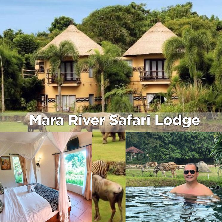 Отели 4*, Отели 5*, Виллы