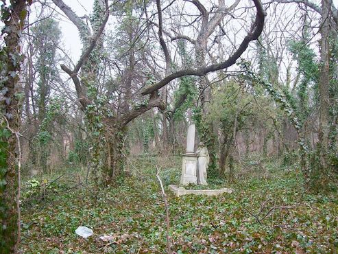 Старое кладбище Цинкоты