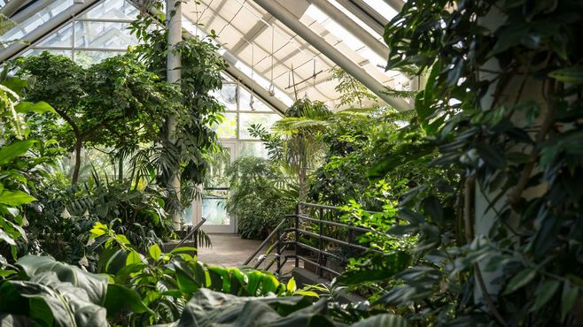 Бруклинский ботанический сад
