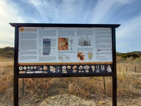 История парка и окаменелостей