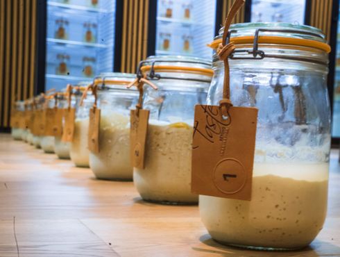 Библиотека заквасок