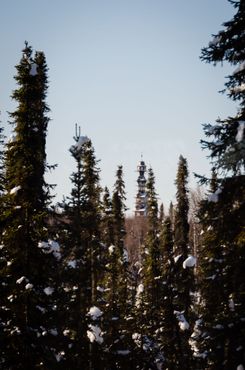 Фото из окна поезда