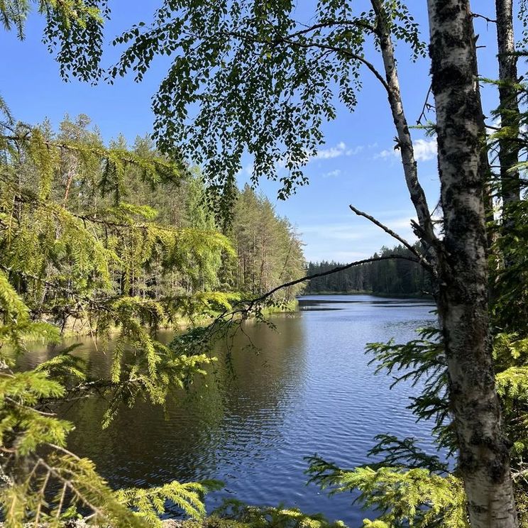 Палатки
