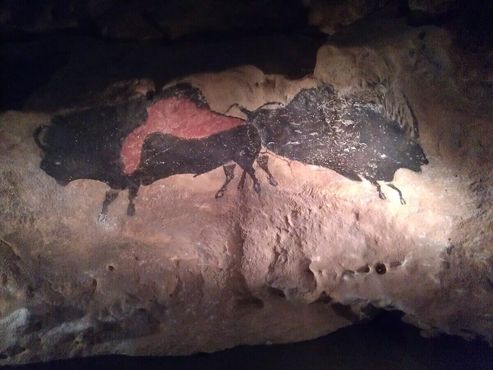 Реплика изображения зубра из пещеры Ласко
