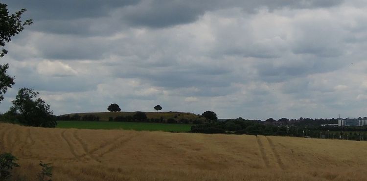 Холм Гамильтон