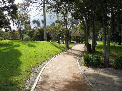 Ботанический сад Боготы