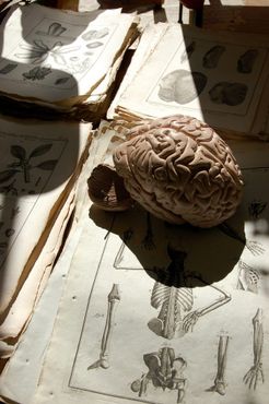 «Ариа Антикс»