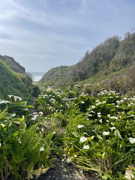 11 марта 2024 г.