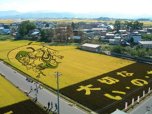 Рисунок на рисовом поле с невероятной детализацией (Flickr/bebot)