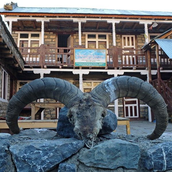 Отели 3*, Лоджи