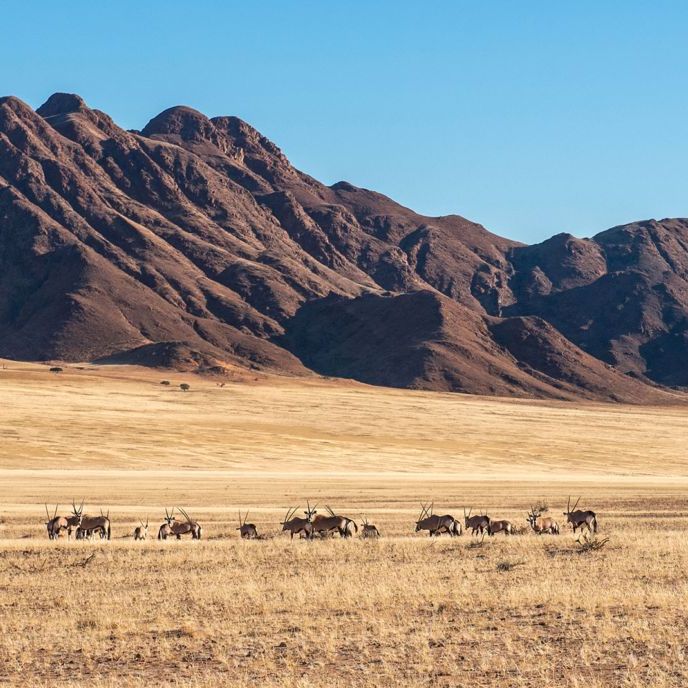 Отели 4*, Лоджи