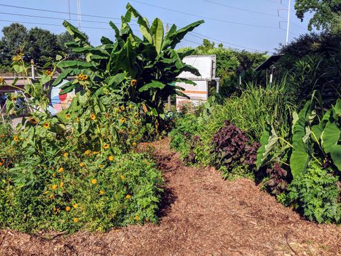 Общинный фонд Лейк-Клэр