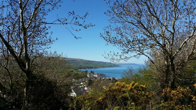 Аллея Нарциссов, вид от начала тропы