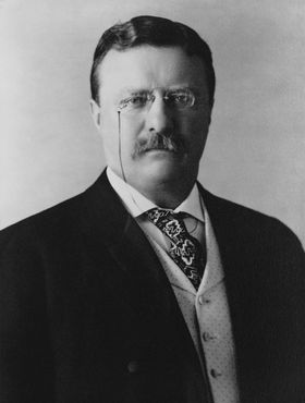 Президент Теодор Рузвельт