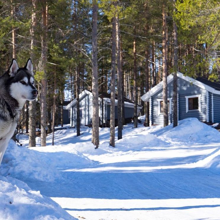 Гостевые домики, Отели 3*