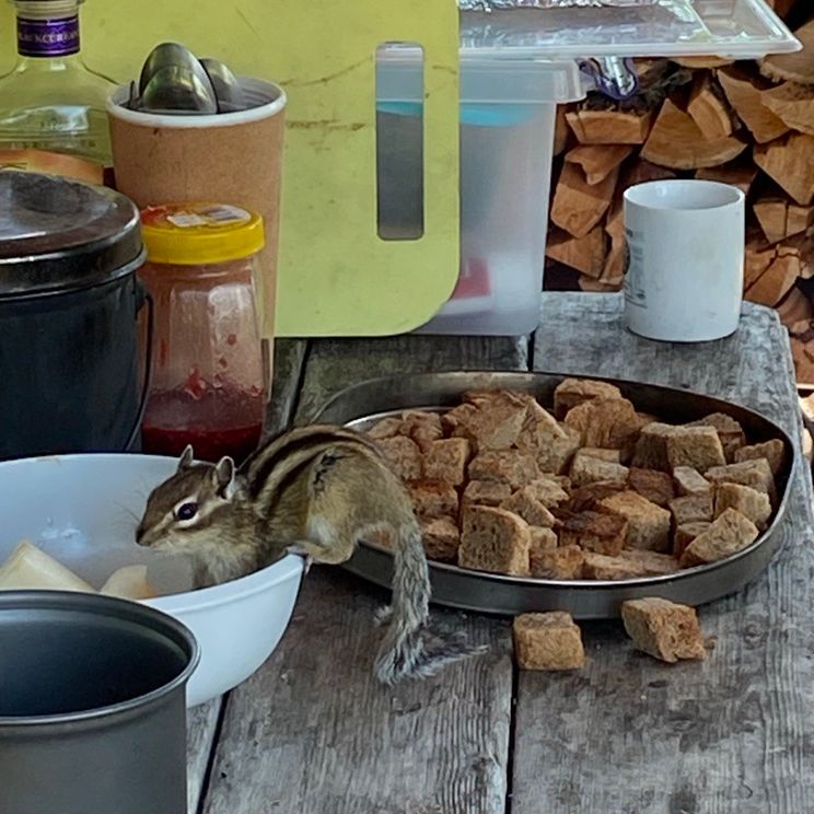 Гостевые домики, Палатки