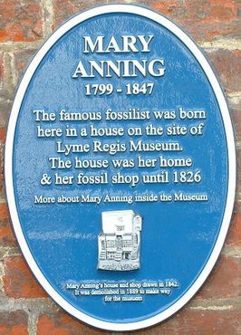 Мемориальная доска с информацией, где родилась Мэри Эннинг и где был её первый магазин ископаемых