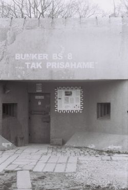 Бункер BS-8