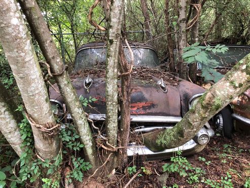 «Город старых машин», Джорджия, США