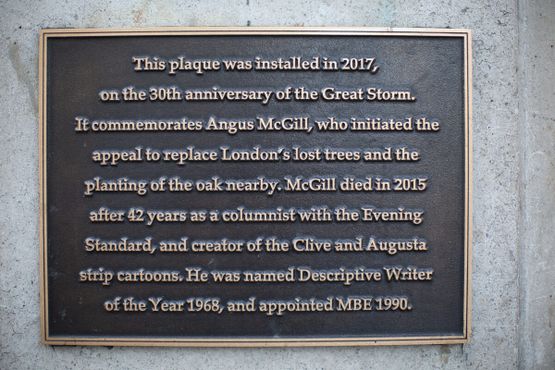Мемориальная доска в честь Ангуса Макгилла