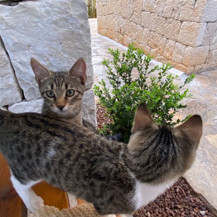 Отели 3*, Отели 4*