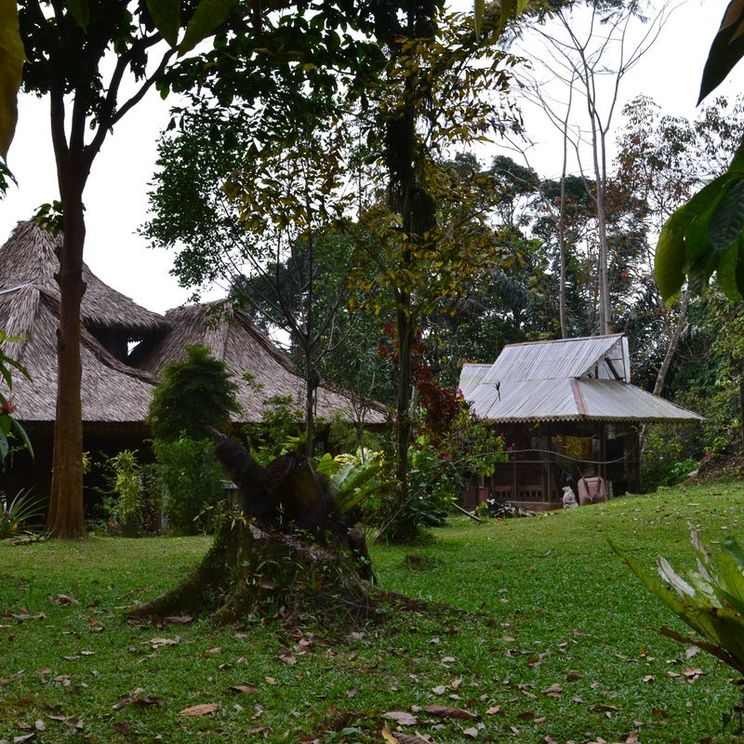 Отели 3*, Лоджи, Палатки