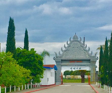 Ват Дхаммарарам