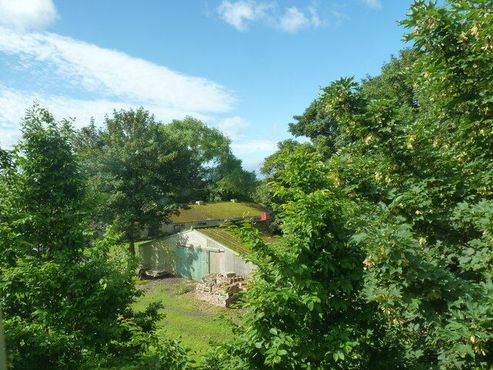 Традиционные сараи для выгонки ревеня