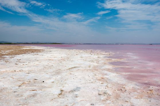 Розовое солёное озеро