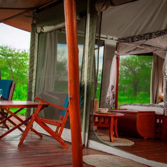 Домик, палатки