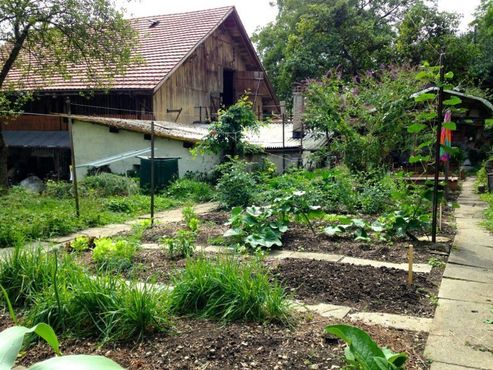 Деревня «Синергия»