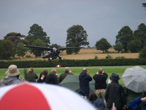 «Лайсандер»