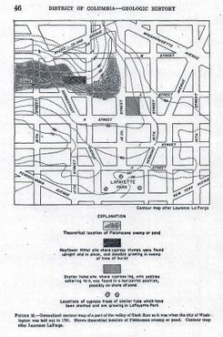 На геологической схеме 1950 года показаны древнее болото и кипарисы, растущие на Лафайет-сквер в наши дни