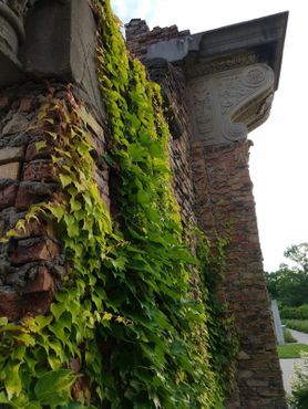 Руины в парке Холлидей